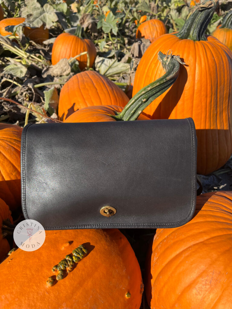 vintage coach convertible clutch sitting among pumpkins in a pumpkin patch