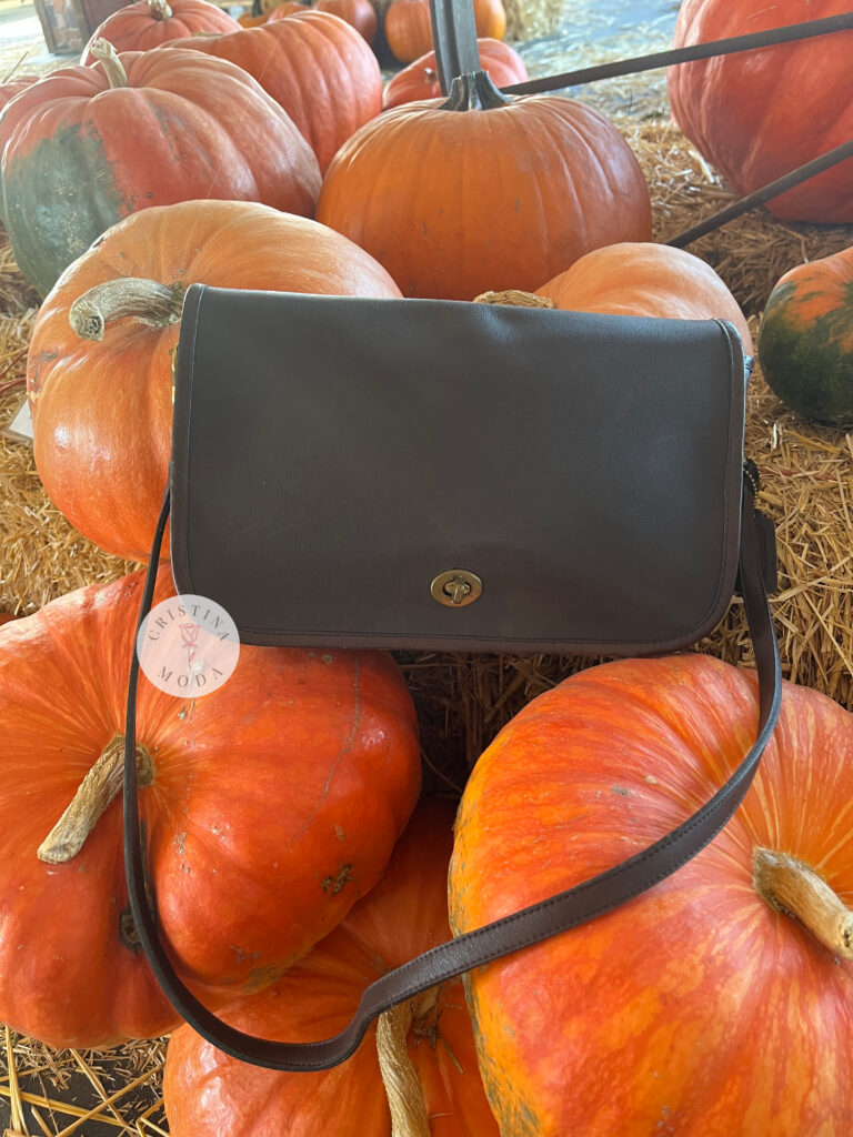 vintage coach convertible clutch in brown leather among pumpkins
