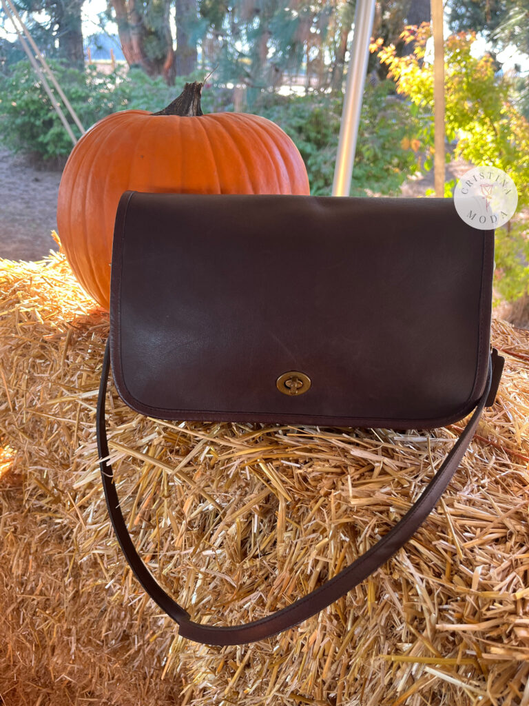vintage coach convertible clutch in brown leather among pumpkins