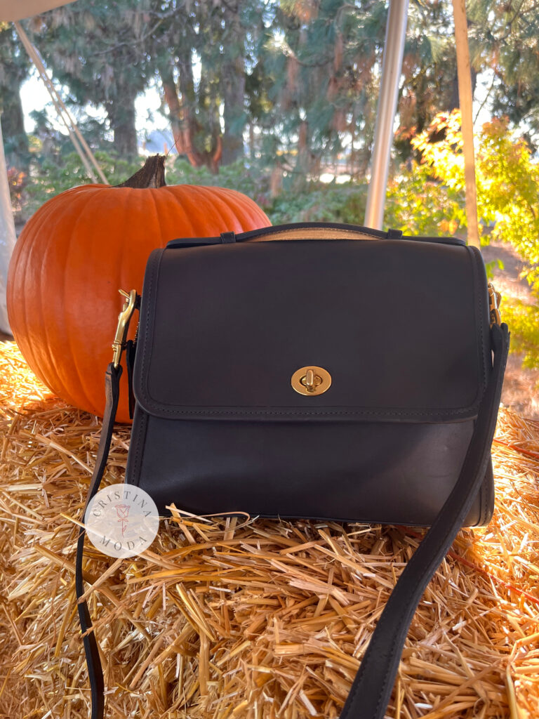 vintage coach court bag in navy leather among pumpkins