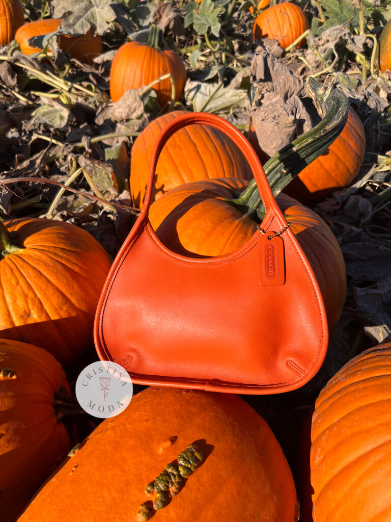 vintage coach Ergo mini bag in tangerine orange leather among pumpkins