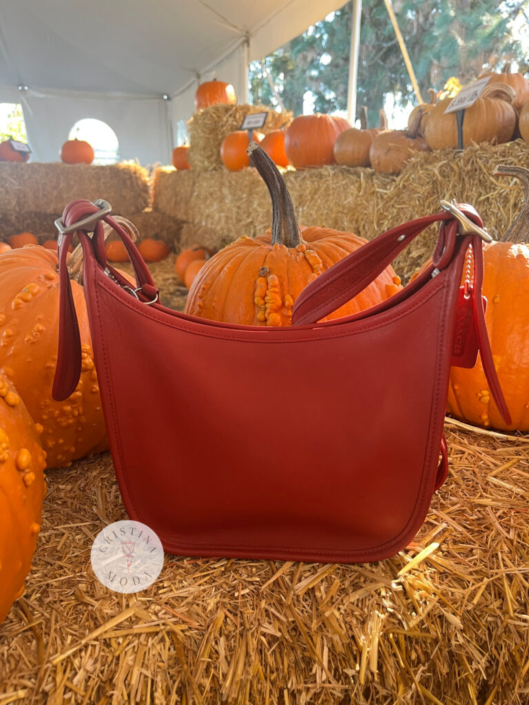 vintage coach janice's legacy bag in red leather among pumpkins