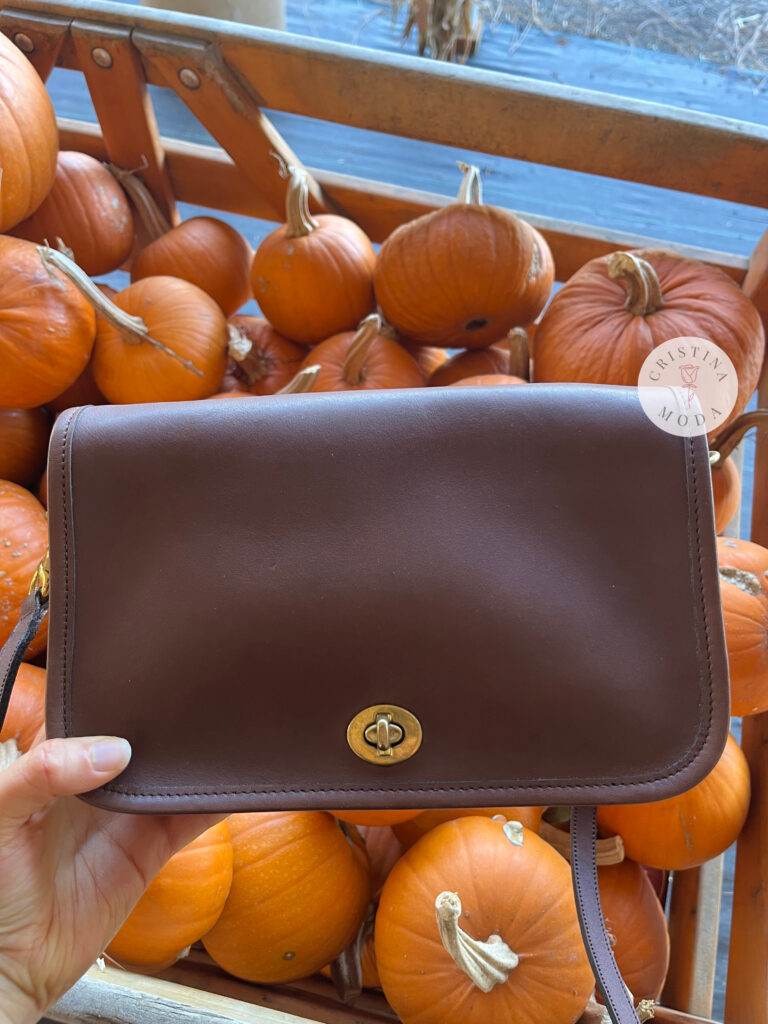 vintage coach pocket purse in brown leather among pumpkins