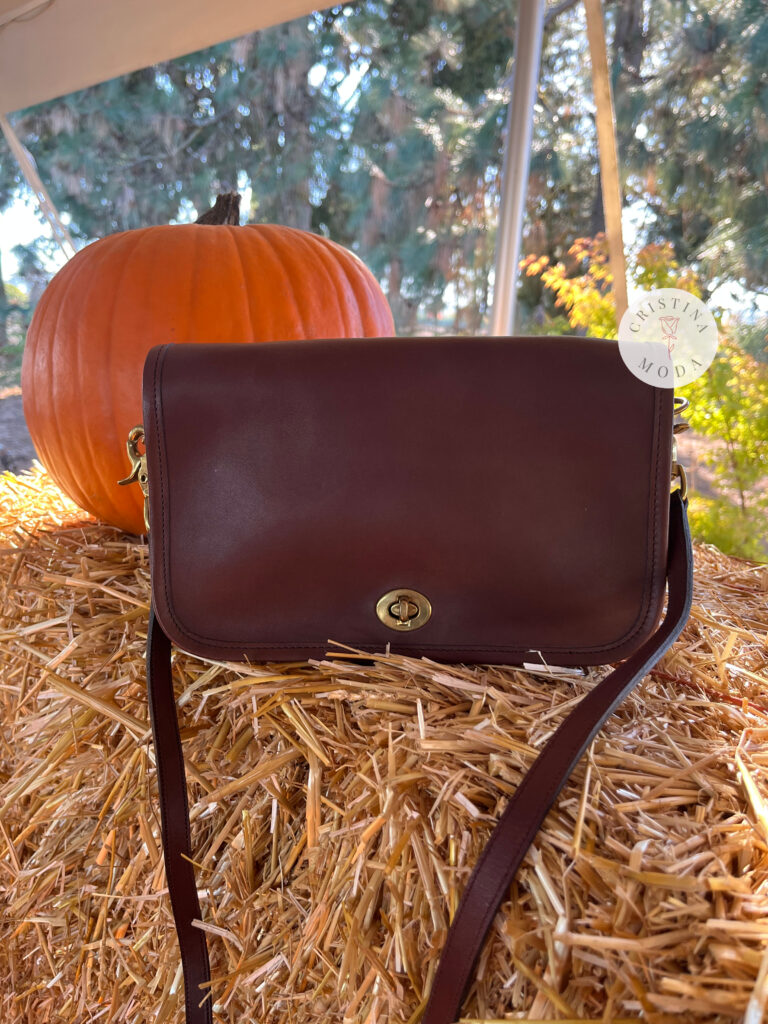 vintage coach pocket purse in brown leather among pumpkins