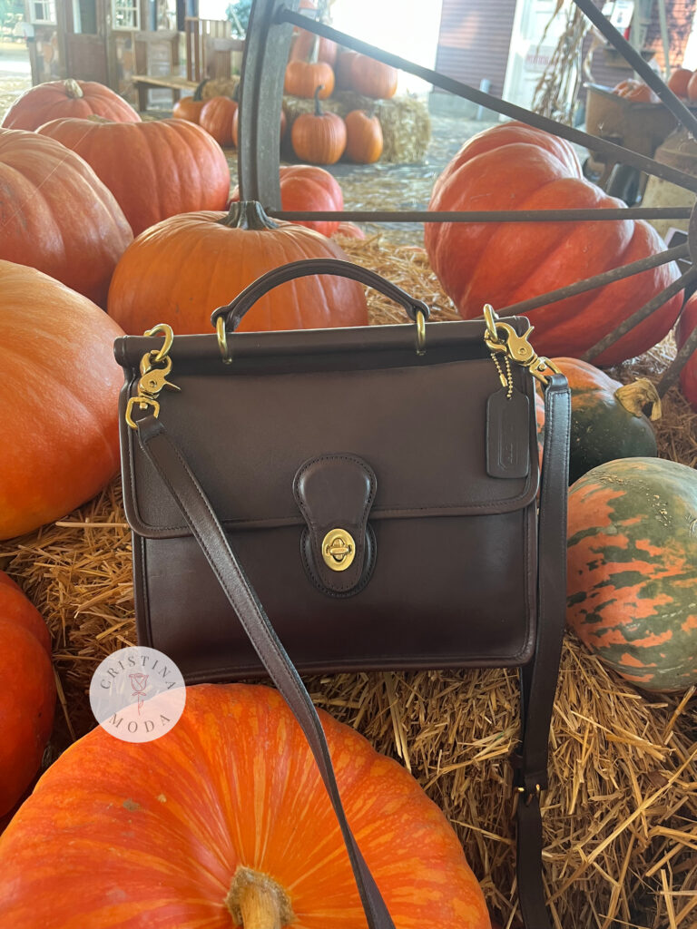 vintage coach willis bag in brown leather among pumpkins