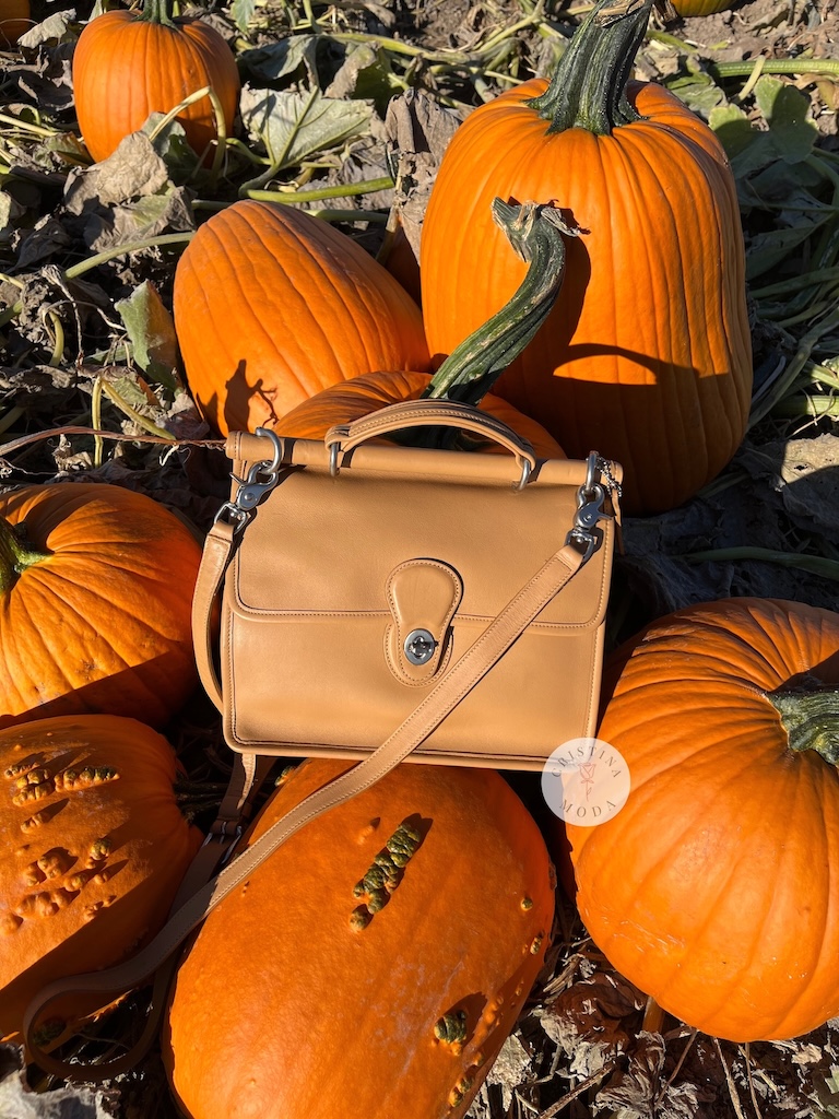 Camel colored Willis Bag sitting among pumpkins in a pumpkin patch