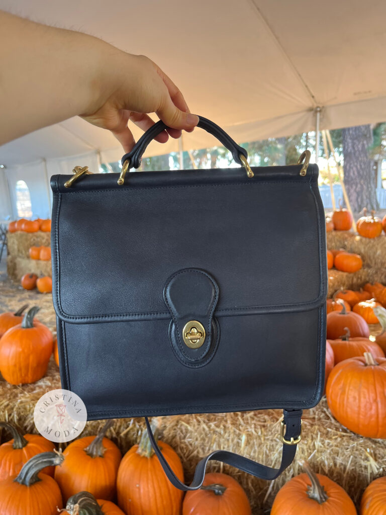 vintage coach willis bag in navy leather among pumpkins